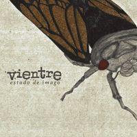 Vientre - Estado de Imago