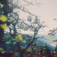 Chill Children & Ewonee - ewonee