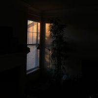 Fuyu & Chill Children - fuyu