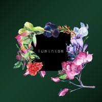 Luminism - if music doesn't work out i'll go to grad school