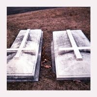 The World Is a Beautiful Place & I Am No Longer Afraid to Die - The Distance