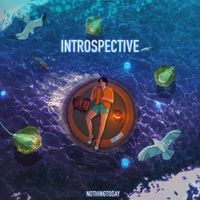 Nothingtosay - Introspective