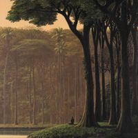 El B&uacute;ho - Natura Sonora