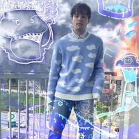 6 Dogs - Burberry Weather