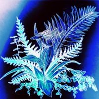 glass beach - orchids (playlist version)