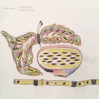Steve Roden - Oder Delias or Butterflies