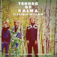 Tenors Of Kalma - Electric Willow