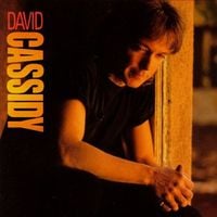 David Cassidy - David Cassidy