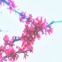 Sadness - compilation II