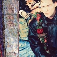 The Associates - Wild and Lonely
