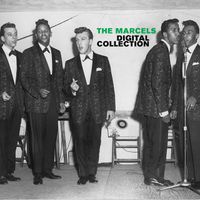 The Marcels - Digital Collection