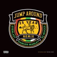 Everlast - Jump Around (25 Year Remix)