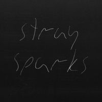 The Goodbye Party - Stray Sparks