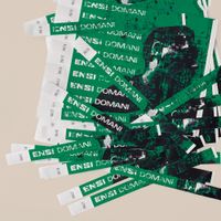 Ensi - DOMANI