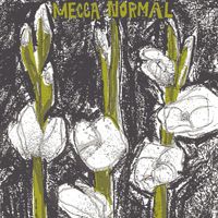 Mecca Normal - Mecca Normal