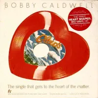Bobby Caldwell - What You Won't Do for Love