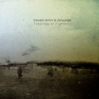 Siavash Amini & Zenjungle - Topology of Figments