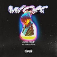 ohtrapstar - WOK