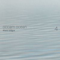 Bertrand Gauguet - Occam Ocean 4