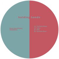 Desert Sound Colony - Synthetic Nixon EP