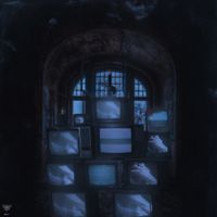 White Punk - PARADOX