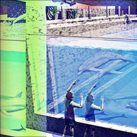 Eccodroid - aqu&aelig;rium