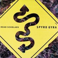 Spyro Gyra - Road Scholars