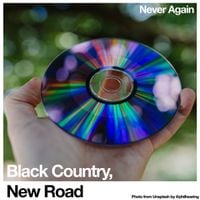 Black Country, New Road - Never Again