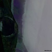 Our Love to Relive - Hide from You