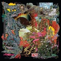 black midi - Live-cade