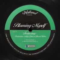 Weiland & MIKE DEAN - Blaming Myself
