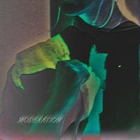 Cate Le Bon - Moderation
