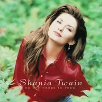 Shania Twain - No One Needs to Know
