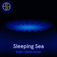 Nailah Hunter - Sleeping Sea