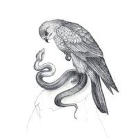 Savages - Flying to Berlin / Husbands