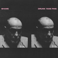 shame - Drunk Tank Pink (Deluxe Edition)