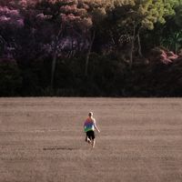 UL&Eacute;O - sunflowers and their landscapes