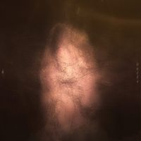 Hilyard - Veils