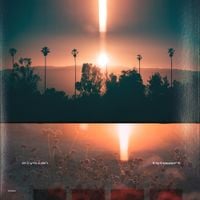 Tstewart - elysian