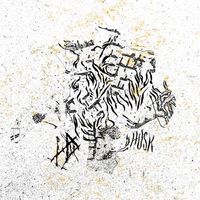 Hope Drone - Husk