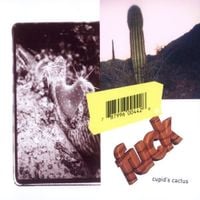 Fuck - Cupid&rsquo;s Cactus