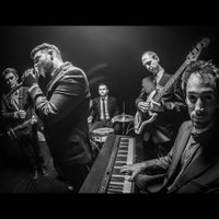 Elefánt - Alszik