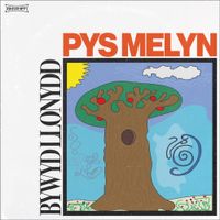 Pys Melyn - Bywyd Llonydd