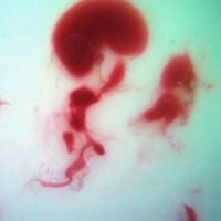 Penelope Trappes - Penelope Three (Mother's Blood Edition)