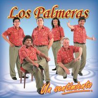 Los Palmeras - Un sentimiento