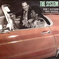 The System - Don't Disturb This Groove
