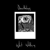 Whit Waltman - Ornithology