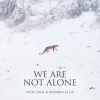 Nick Cave & Warren Ellis - We Are Not Alone