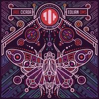 Jade Cicada - Eolian Oms