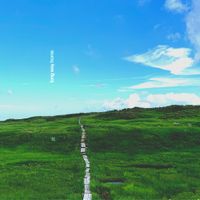 phritz - long way home